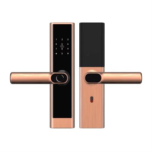 Khóa cửa gỗ LXR.HB-CG39 MINI