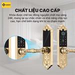 Khóa Cửa Đại sảnh LXR.HB-DS79 MINI (Tuya)