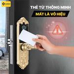 Khóa Cửa Đại sảnh LXR.HB-DS79 MINI (Tuya)