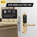 Khóa Cửa Đại sảnh LXR.HB-DS79 MINI (Tuya)